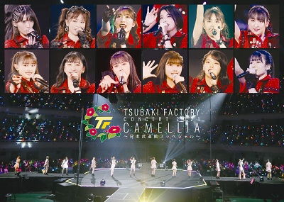 Cover for Camellia Factory · Camellia Factory Concert 2021 (DVD) [Japan Import edition] (2022)