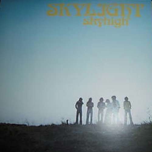 Cover for Skylight · Skyhigh: Limited (LP) [Limited edition] (2015)