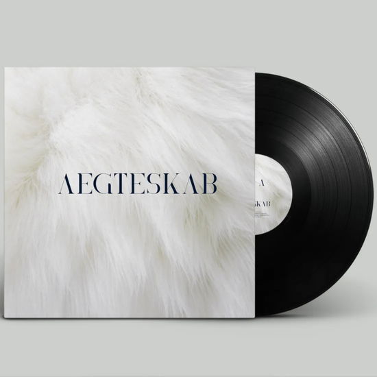 Cover for Aegteskab (LP) (2024)