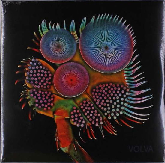 Volva - Echolot - Music - PHD MUSIC - 7640130010697 - October 12, 2017