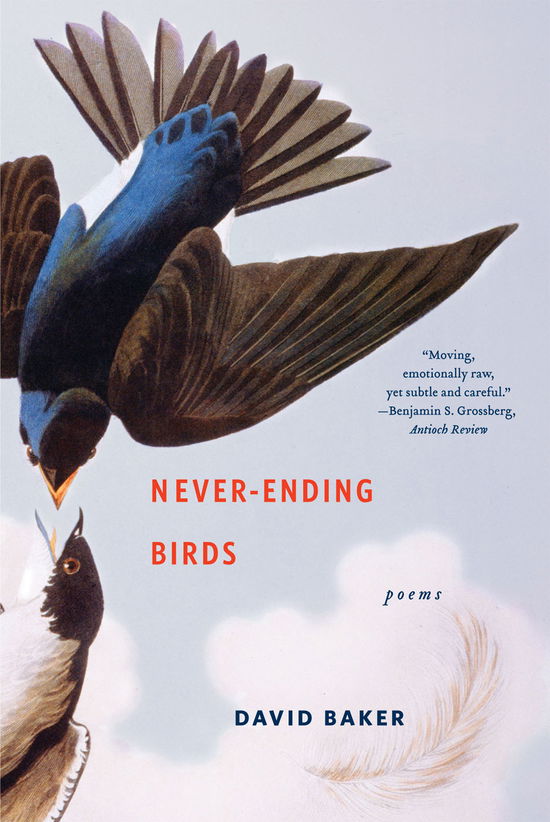 Cover for Baker, David (Denison University) · Never-Ending Birds: Poems (Paperback Book) (2011)