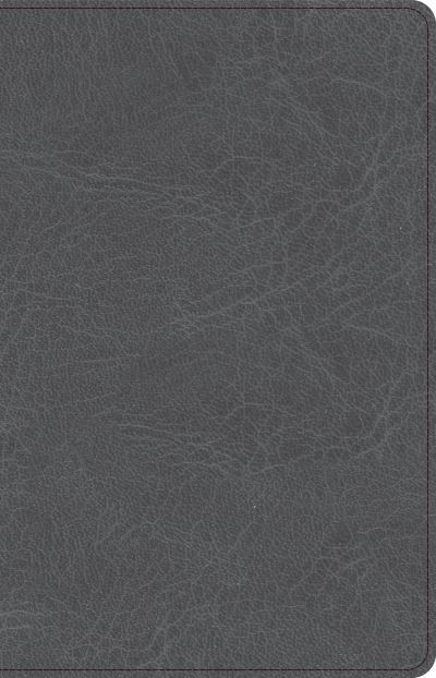 Cover for CSB Bibles By Holman · CSB Thinline Bible, Charcoal LeatherTouch (Leather Book) (2022)