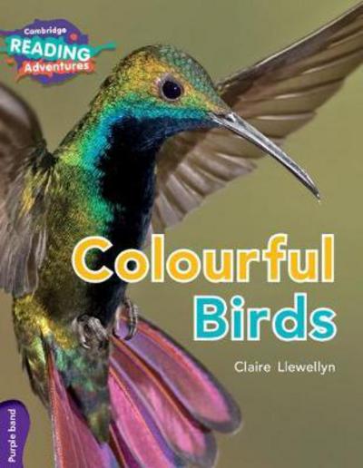 Cover for Claire Llewellyn · Cambridge Reading Adventures Colourful Birds Purple Band - Cambridge Reading Adventures (Pocketbok) [New edition] (2017)