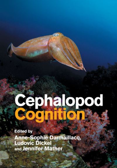 Cover for Anne-Sophie Darmaillacq · Cephalopod Cognition (Paperback Book) (2018)