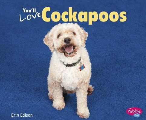 Cover for Erin Edison · You'll Love Cockapoos (Favorite Designer Dogs) (Hardcover Book) (2014)