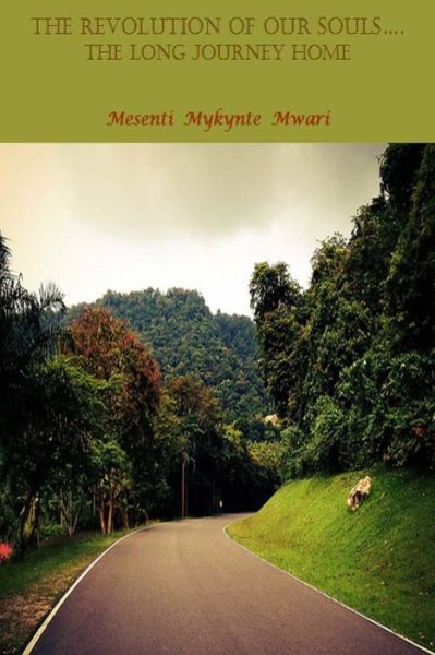 Cover for Mesenti Mykynte Mwari · The Revolution of Our Souls....the Long Journey Home (Pocketbok) (2015)