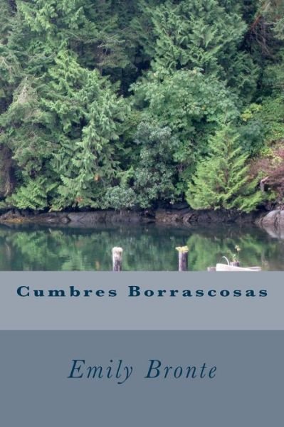 Cover for Emily Bronte · Cumbres Borrascosas (Paperback Bog) (2015)