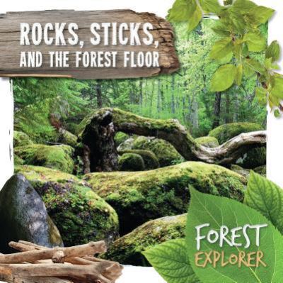 Cover for Robin Twiddy · Rocks, Sticks, and the Forest Floor (Hardcover Book) (2018)