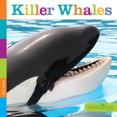 Cover for Kate Riggs · Killer Whales (Hardcover Book) (2017)