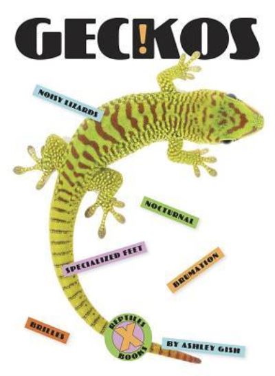 Cover for Ashley Gish · Geckos (Book) (2019)