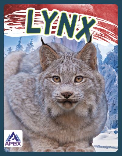 Cover for Sophie Geister-Jones · Lynx - Wild Cats (Paperback Book) (2021)