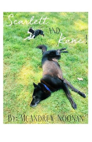 Cover for McAndrew Noonan · Scarlett and Kane! (Paperback Book) (2019)