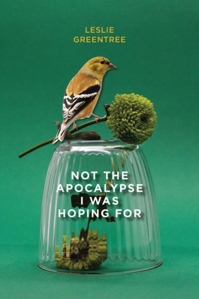 Cover for Leslie Greentree · Not the Apocalypse I Was Hoping For - Brave &amp; Brilliant 27 (Paperback Book) (2022)