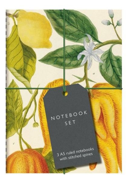 Cover for Bodleian Library · Botanical Art Notebook Set: 3 A5 ruled notebooks with stitched spines (Papperier) (2021)