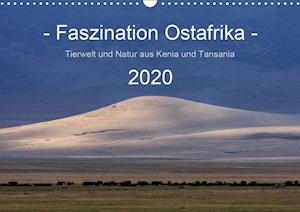 Cover for Schänzer · Faszination Ostafrika - Tierwe (Book)