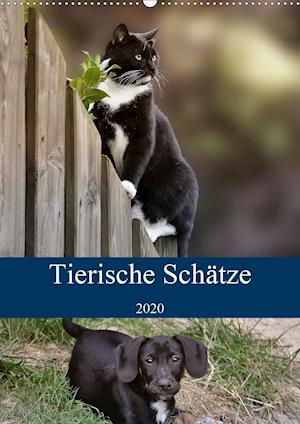 Tierische Schätze (Wandkalen - Metternich - Books -  - 9783670721697 - 