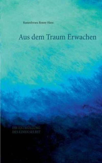 Cover for Hiess · Aus dem Traum erwachen (Book) (2016)