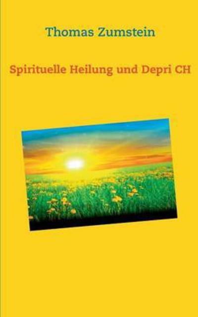 Cover for Zumstein · Spiritulle Heilung und Depri C (Book) (2016)