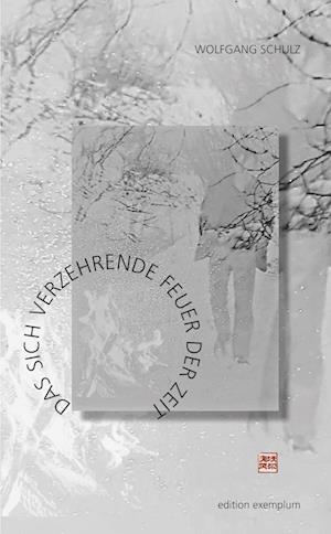 Cover for Wolfgang Schulz · Das sich verzehrende Feuer der Zeit (Book) (2024)