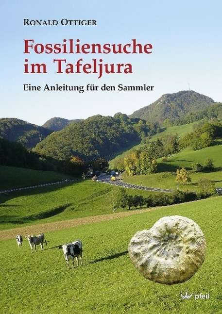 Cover for Ottiger · Fossiliensuche im Tafeljura (Book)