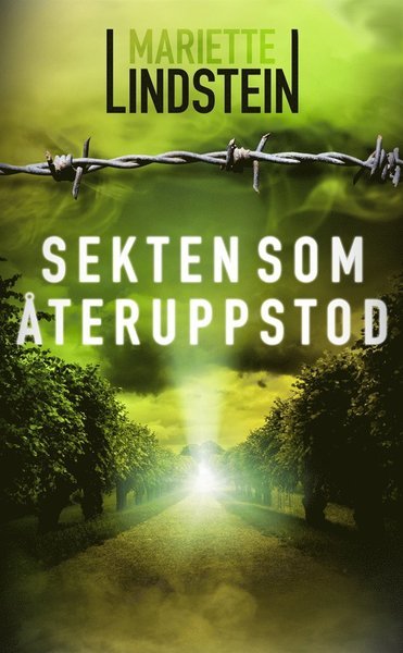 Cover for Mariette Lindstein · Dimön-serien: Sekten som återuppstod (ePUB) (2017)