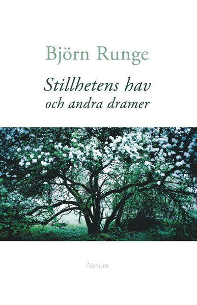 Cover for Björn Runge · Stillhetens hav och andra dramer (Book) (2017)