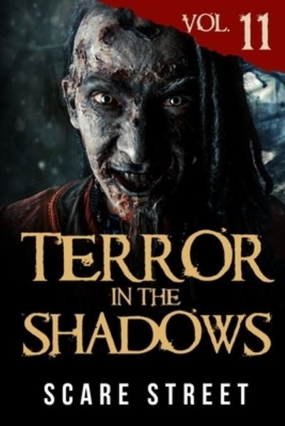 Cover for Ron Ripley · Terror in the Shadows Vol. 11: Horror Short Stories Collection with Scary Ghosts, Paranormal &amp; Supernatural Monsters - Terror in the Shadows (Pocketbok) (2020)