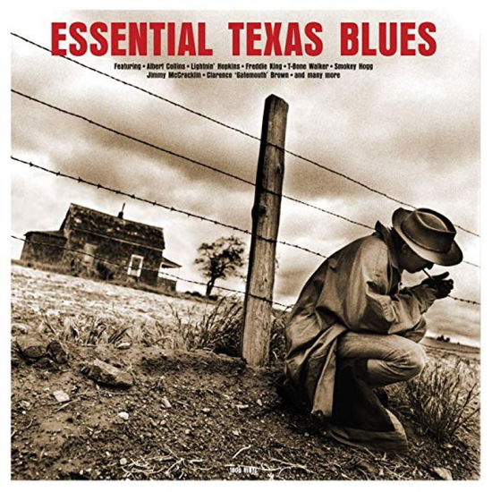 Various Artists · Essential Texas Blues (LP) (2019)