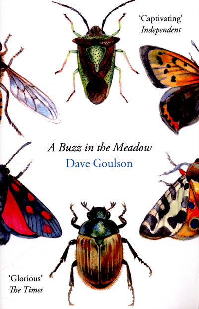 Cover for Dave Goulson · A Buzz in the Meadow (Paperback Book) (2015)