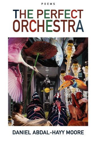 The Perfect Orchestra / Poems - Daniel Abdal-hayy Moore - Books - The Ecstatic Exchange - 9780578025698 - October 20, 2009