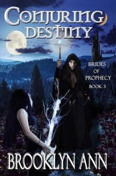 Cover for Brooklyn Ann · Conjuring Destiny (Paperback Book) (2015)