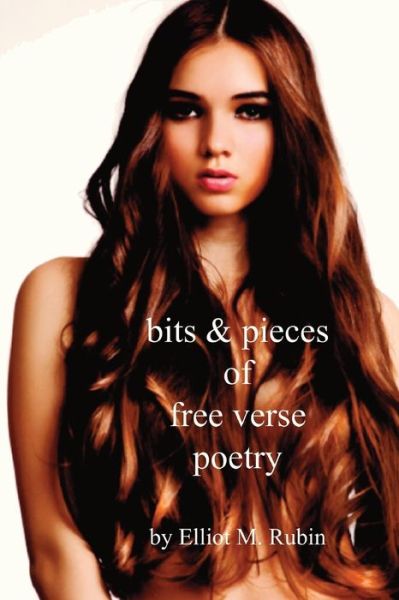 Cover for Elliot M Rubin · Bits and Pieces of Free Verse Poetry (Paperback Book) (2019)