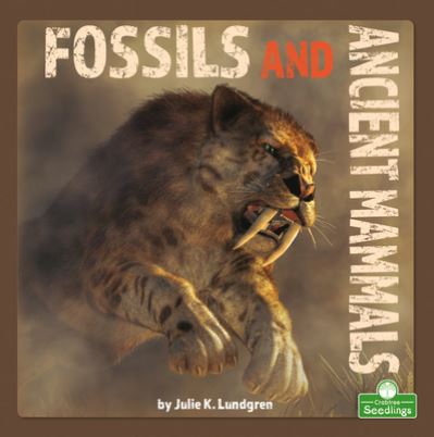 Cover for Julie K Lundgren · Fossils and Ancient Mammals (Paperback Book) (2023)