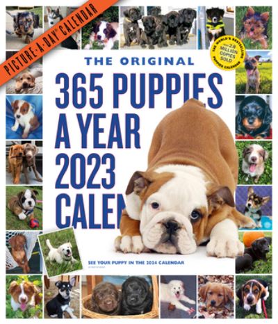 Cover for Workman Calendars · 365 Puppies-A-Year Picture-A-Day Wall Calendar 2023 (Calendar) (2022)