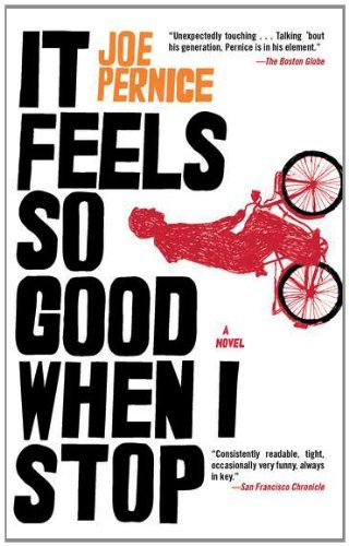 It Feels So Good When I Stop - Joe Pernice - Libros - Penguin Putnam Inc - 9781594484698 - 3 de agosto de 2010