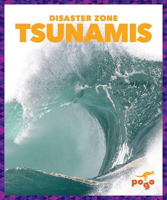 Cover for Cari Meister · Tsunamis (Paperback Book) (2015)