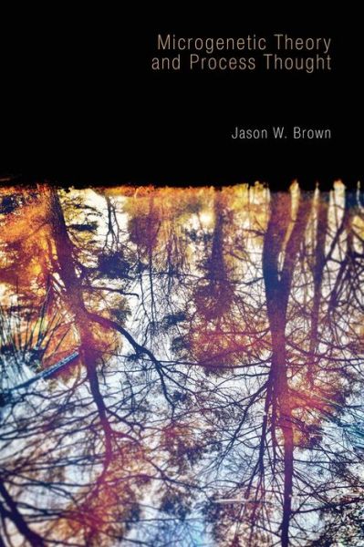 Cover for Jason W. Brown · Microgenetic Theory and Process Thought (Paperback Book) (2015)