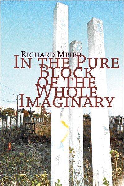 Cover for Richard Meier · In the Pure Block of the Pure Imaginery (Paperback Book) (2012)