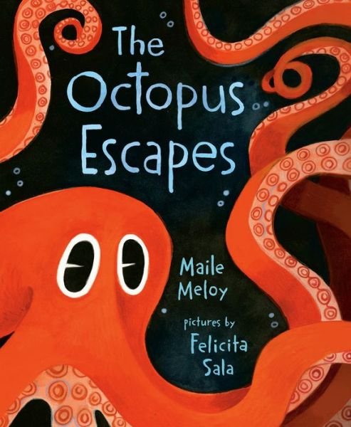 Cover for Maile Meloy · The Octopus Escapes (Gebundenes Buch) (2021)