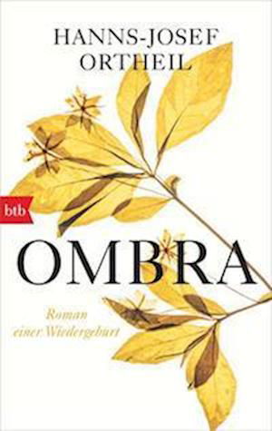 Cover for Hanns-Josef Ortheil · Ombra (Book) (2022)