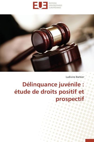 Cover for Ludivine Barbier · Délinquance Juvénile : Étude De Droits Positif et Prospectif (Paperback Book) [French edition] (2018)