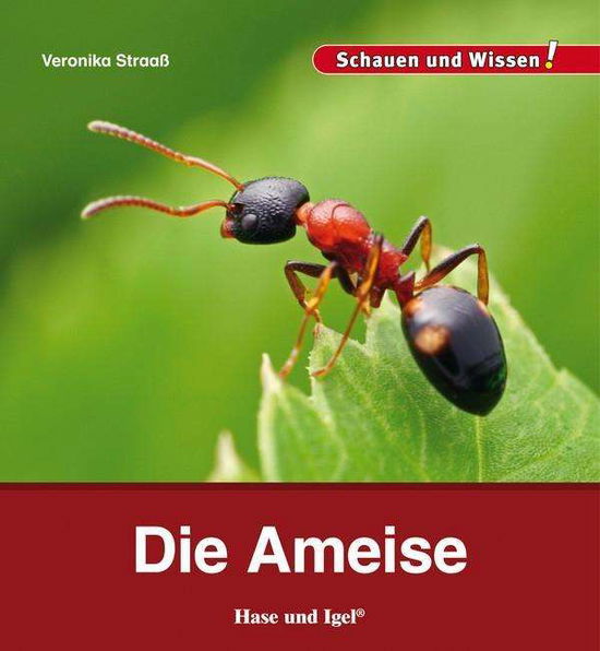 Cover for Straaß · Die Ameise (Buch)