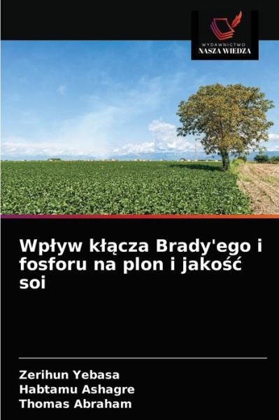 Cover for Yebasa · Wplyw klacza Brady'ego i fosforu (Bog) (2020)