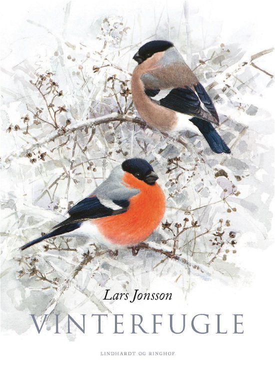 Cover for Lars Jonsson · Vinterfugle (Bound Book) [2nd edition] (2022)