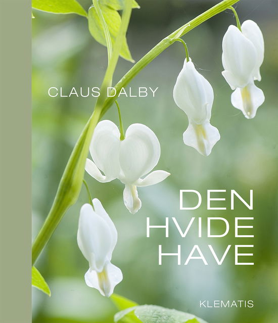 Cover for Claus Dalby · Den hvide have (Bound Book) [1st edition] [Indbundet] (2013)