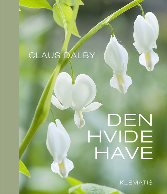 Cover for Claus Dalby · Den hvide have (Innbunden bok) [1. utgave] [Indbundet] (2013)