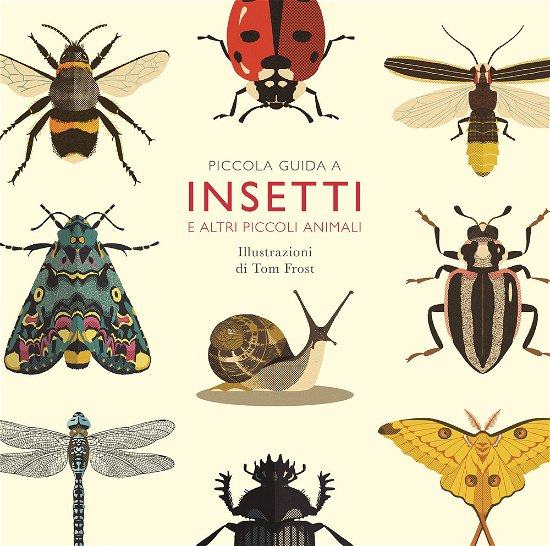 Cover for Alison Davies · Piccola Guida A Insetti E Altri Piccoli Animali (Book)
