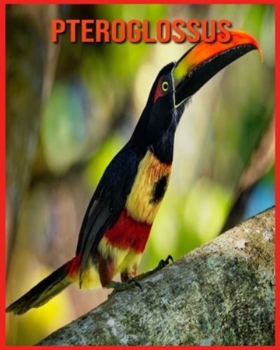 Cover for Linda Davis · Pteroglossus (Paperback Book) (2021)