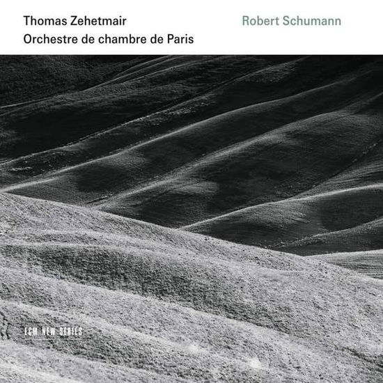 Robert Schumann - Zehetmair / Orchestre De Chambre De Paris - Musik - CLASSICAL - 0028948113699 - 29. April 2016