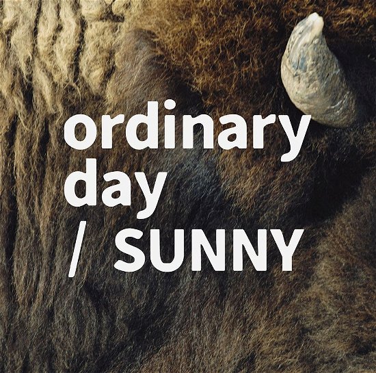 Cover for Tacica · Ordinary Day / Sunny (CD) [Japan Import edition] (2018)